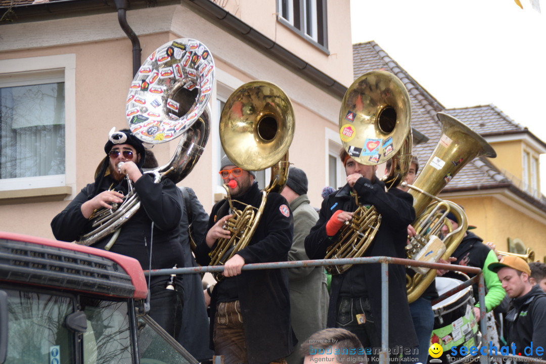 Fasnetsumzug - Fasching: Tettnang am Bodensee, 05.03.2019