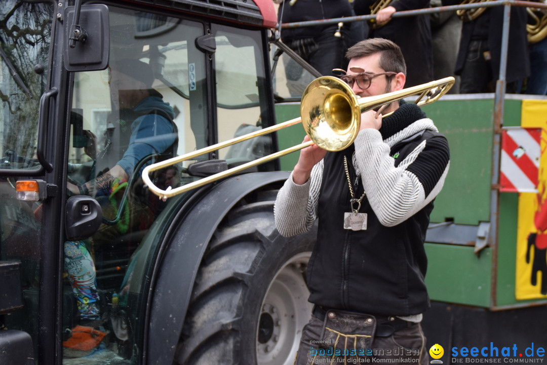 Fasnetsumzug - Fasching: Tettnang am Bodensee, 05.03.2019