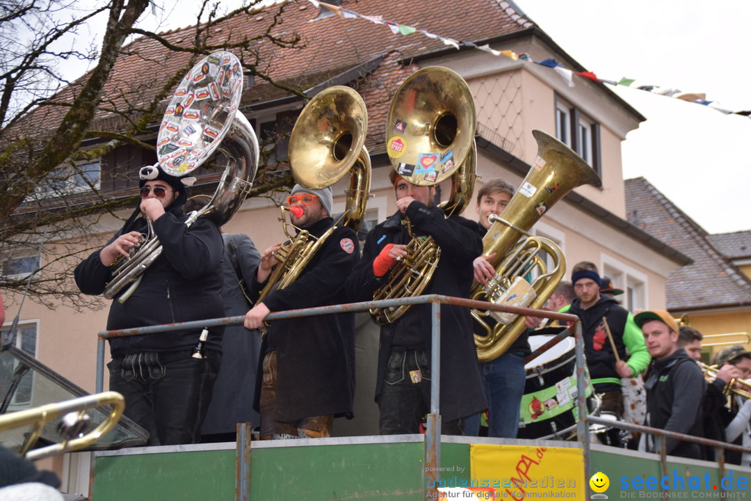 Fasnetsumzug - Fasching: Tettnang am Bodensee, 05.03.2019