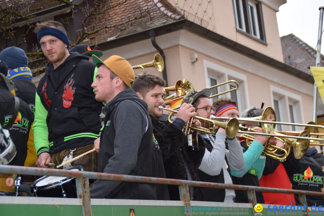 Fasnetsumzug - Fasching: Tettnang am Bodensee, 05.03.2019