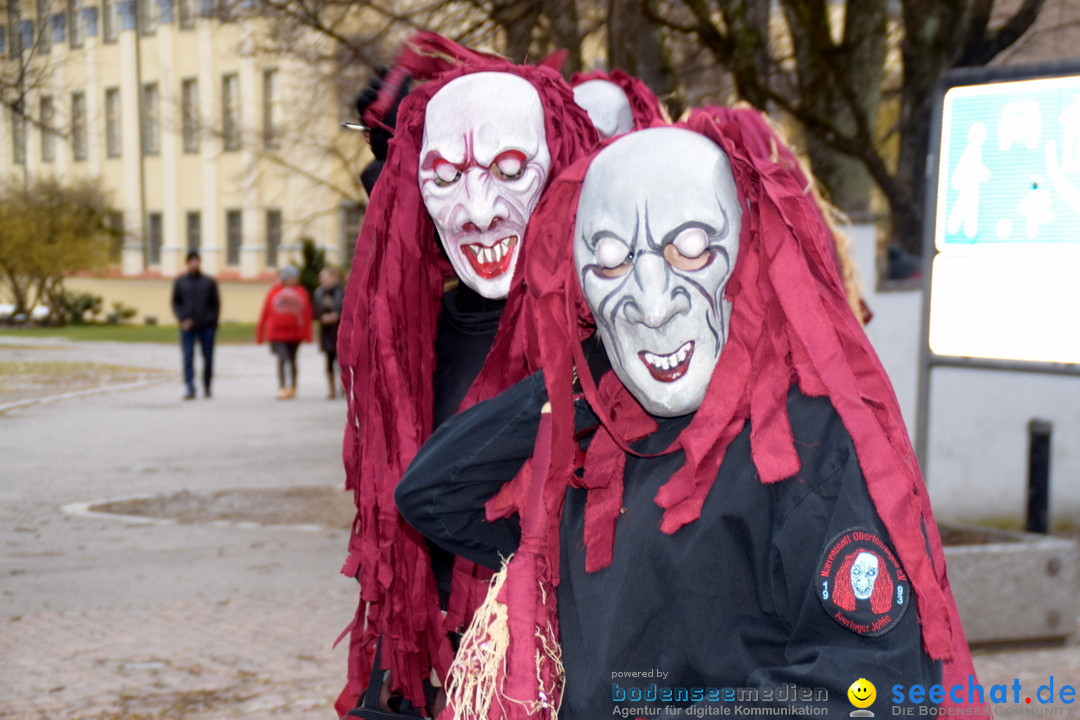 Fasnetsumzug - Fasching: Tettnang am Bodensee, 05.03.2019