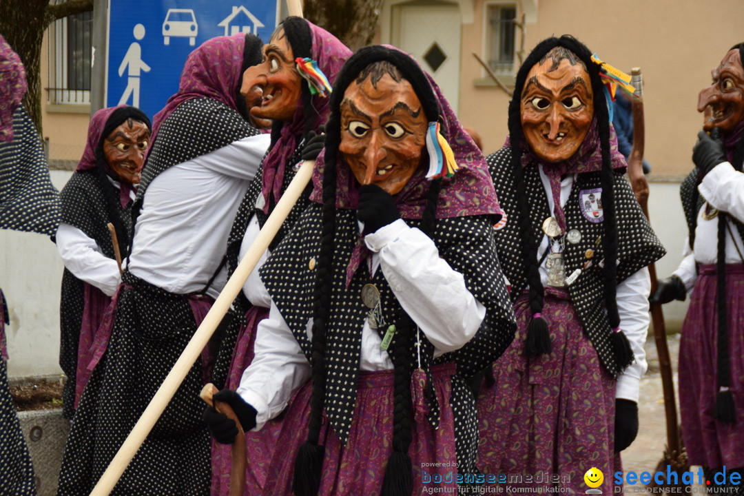 Fasnetsumzug - Fasching: Tettnang am Bodensee, 05.03.2019