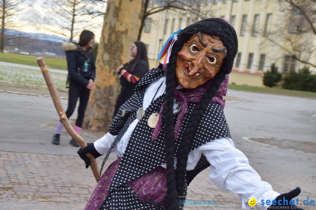 Fasnetsumzug - Fasching: Tettnang am Bodensee, 05.03.2019