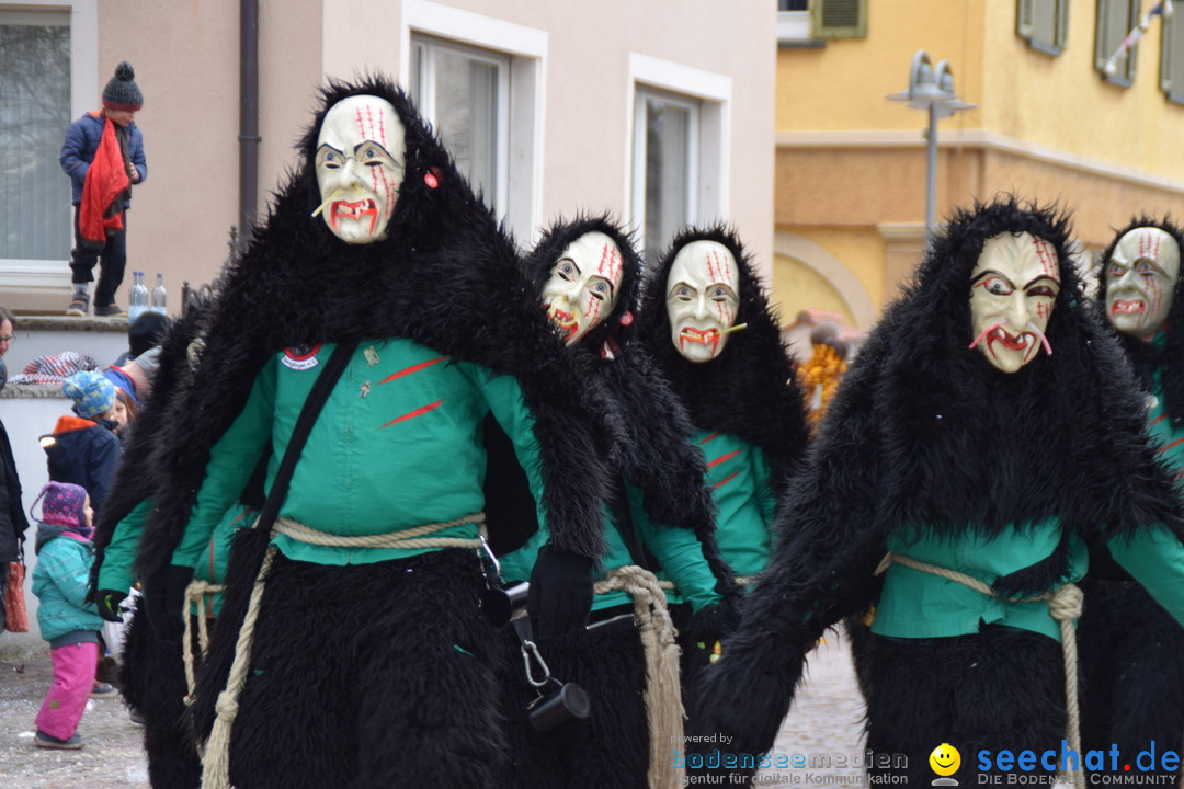 Fasnetsumzug - Fasching: Tettnang am Bodensee, 05.03.2019