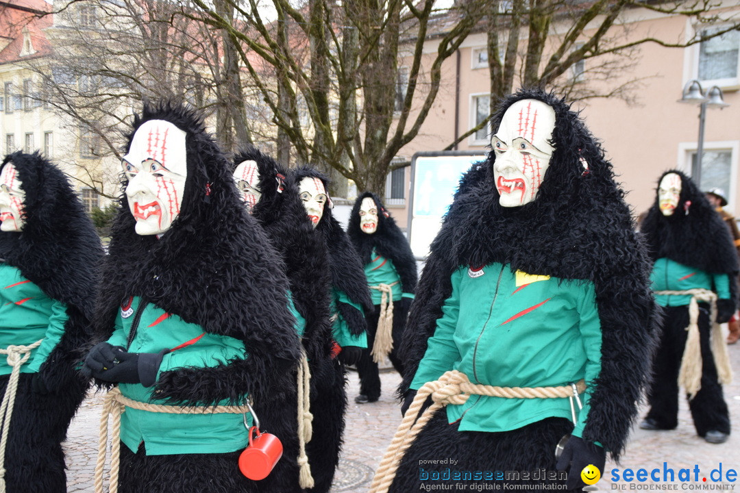 Fasnetsumzug - Fasching: Tettnang am Bodensee, 05.03.2019