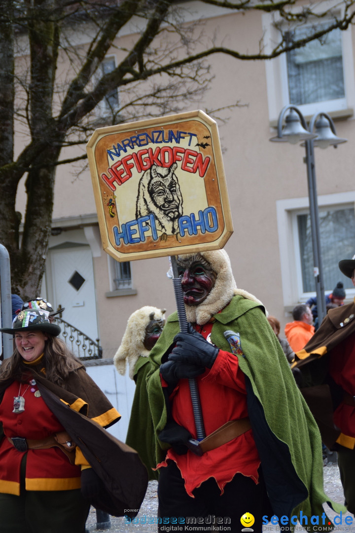 Fasnetsumzug - Fasching: Tettnang am Bodensee, 05.03.2019