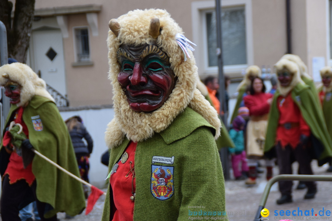 Fasnetsumzug - Fasching: Tettnang am Bodensee, 05.03.2019