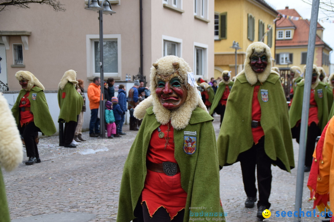 Fasnetsumzug - Fasching: Tettnang am Bodensee, 05.03.2019