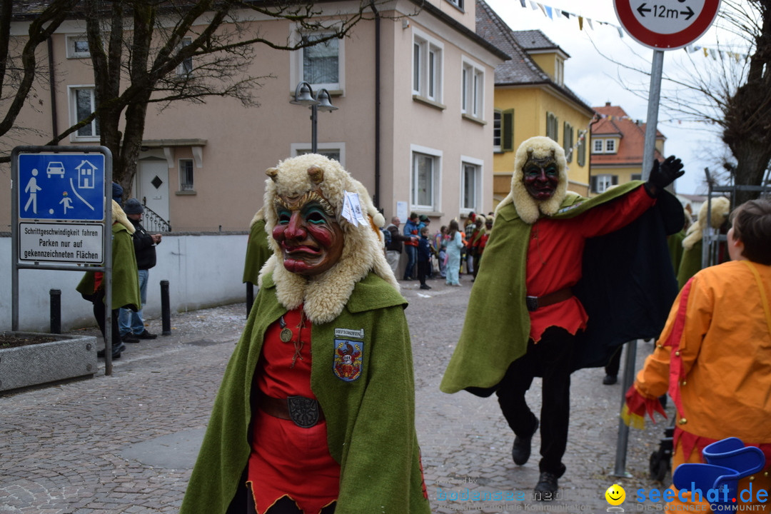 Fasnetsumzug - Fasching: Tettnang am Bodensee, 05.03.2019