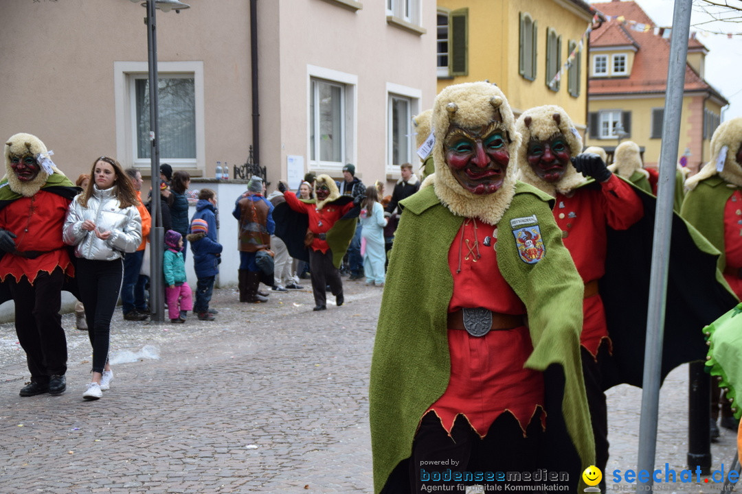 Fasnetsumzug - Fasching: Tettnang am Bodensee, 05.03.2019