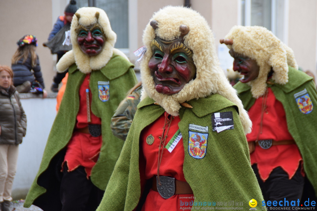 Fasnetsumzug - Fasching: Tettnang am Bodensee, 05.03.2019