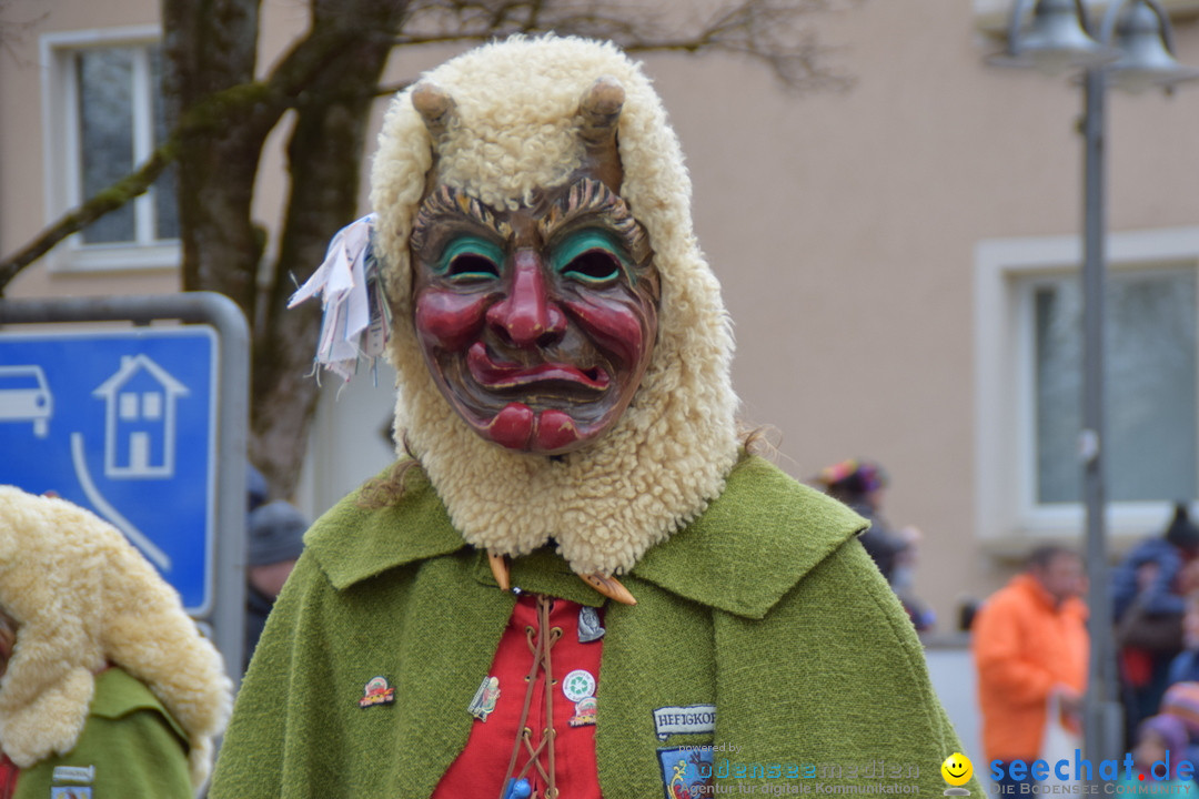 Fasnetsumzug - Fasching: Tettnang am Bodensee, 05.03.2019