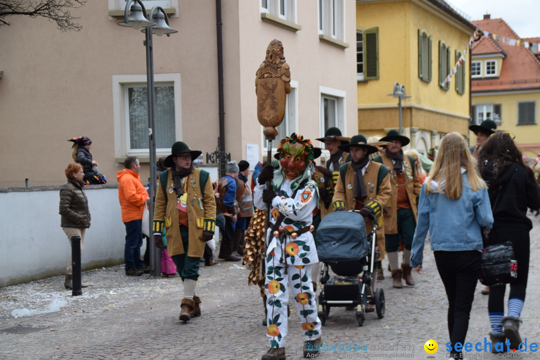 Fasnetsumzug - Fasching: Tettnang am Bodensee, 05.03.2019