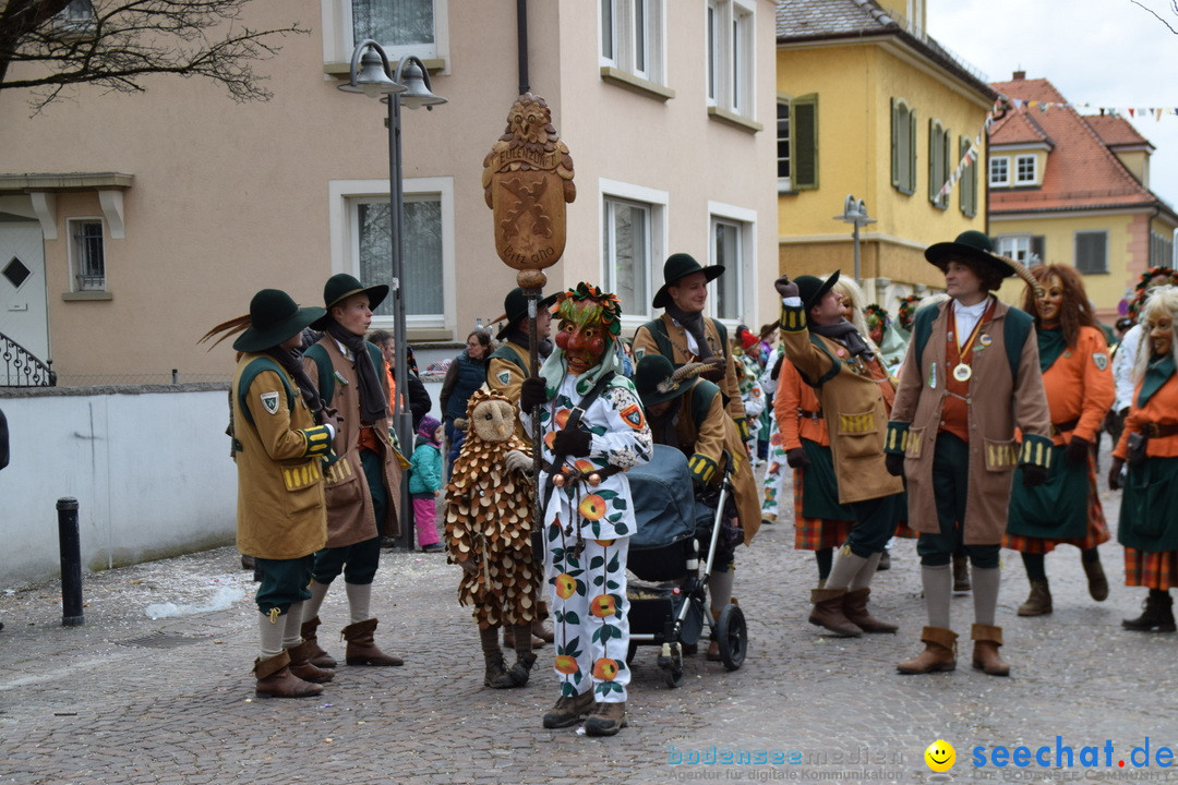 Fasnetsumzug - Fasching: Tettnang am Bodensee, 05.03.2019