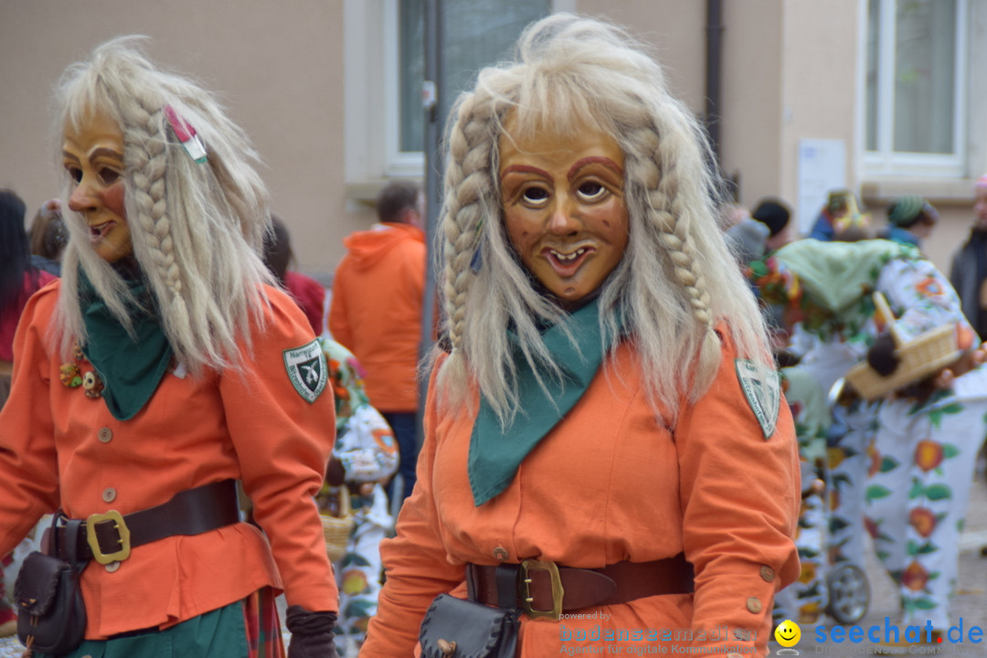 Fasnetsumzug - Fasching: Tettnang am Bodensee, 05.03.2019