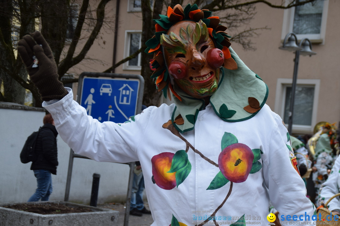 Fasnetsumzug - Fasching: Tettnang am Bodensee, 05.03.2019