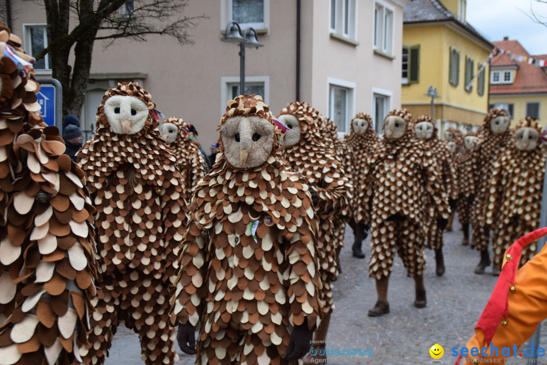 Fasnetsumzug - Fasching: Tettnang am Bodensee, 05.03.2019