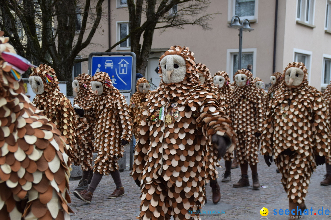 Fasnetsumzug - Fasching: Tettnang am Bodensee, 05.03.2019