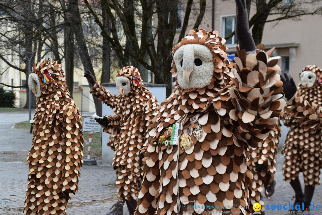 Fasnetsumzug - Fasching: Tettnang am Bodensee, 05.03.2019