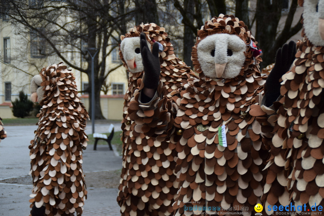 Fasnetsumzug - Fasching: Tettnang am Bodensee, 05.03.2019