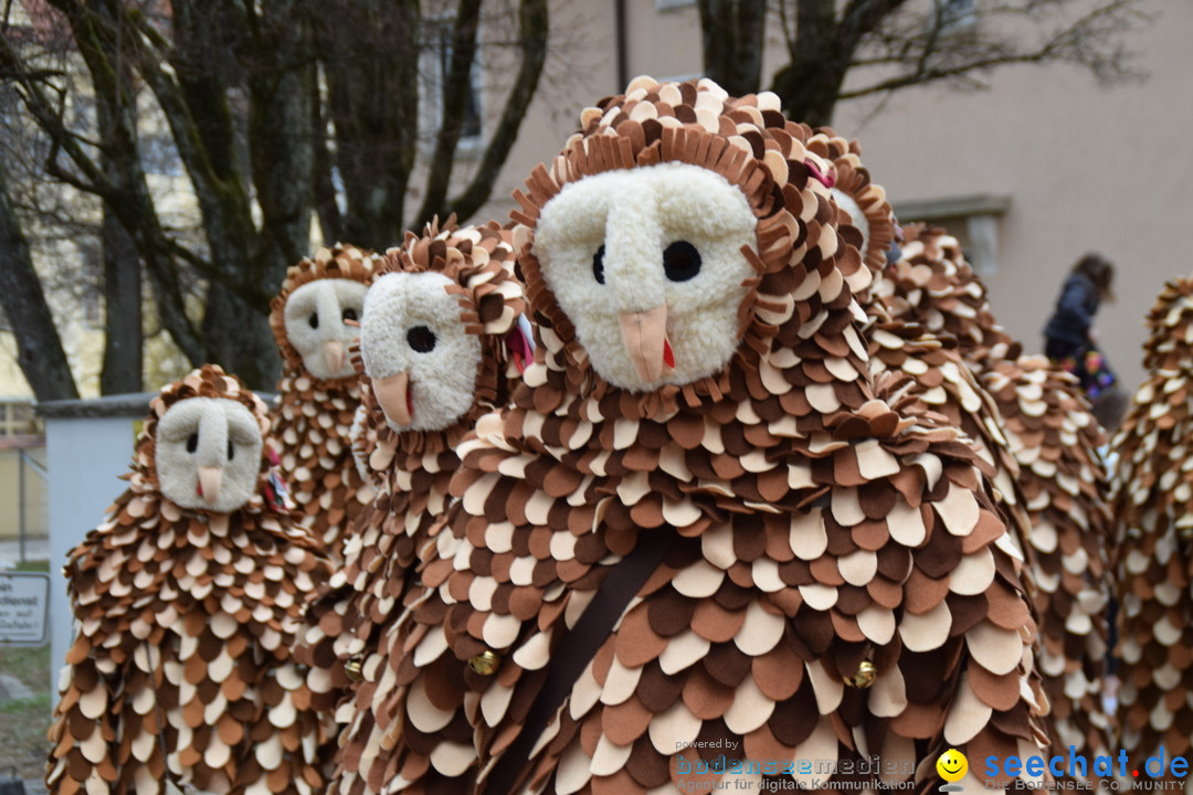 Fasnetsumzug - Fasching: Tettnang am Bodensee, 05.03.2019