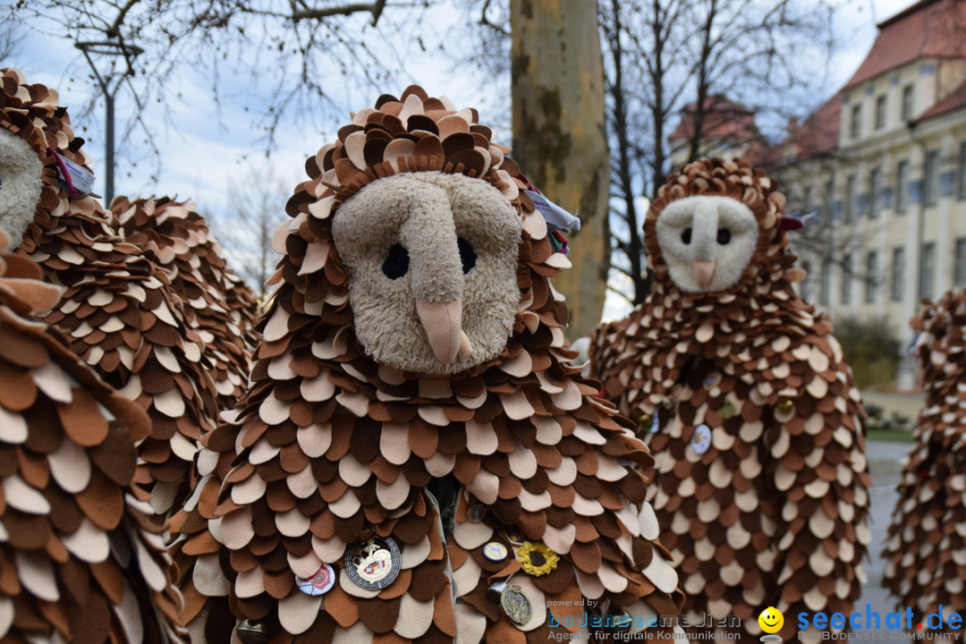 Fasnetsumzug - Fasching: Tettnang am Bodensee, 05.03.2019