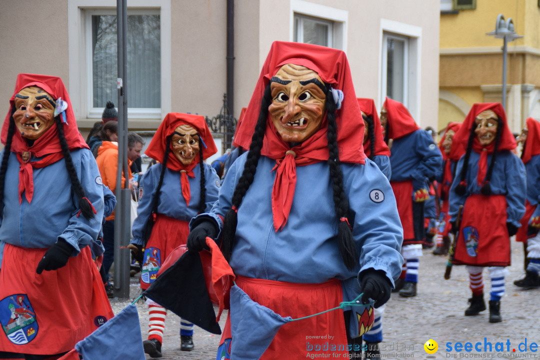 Fasnetsumzug - Fasching: Tettnang am Bodensee, 05.03.2019