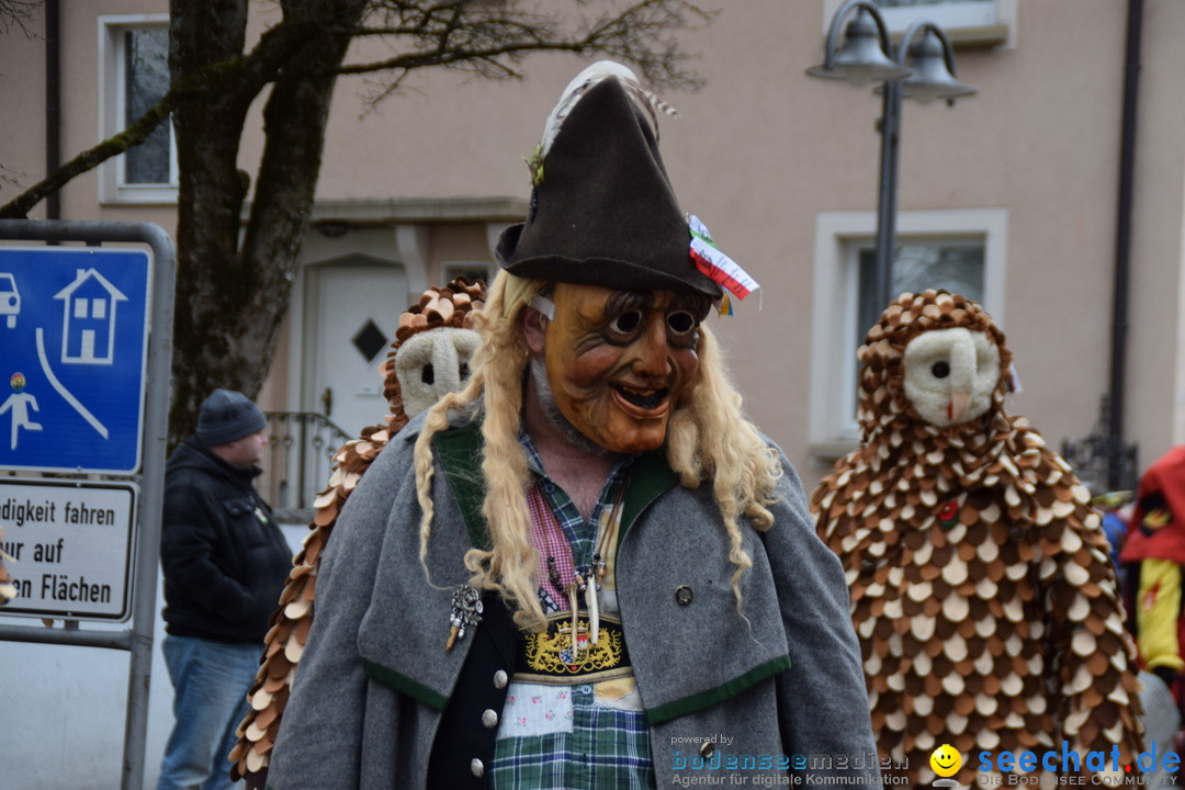 Fasnetsumzug - Fasching: Tettnang am Bodensee, 05.03.2019