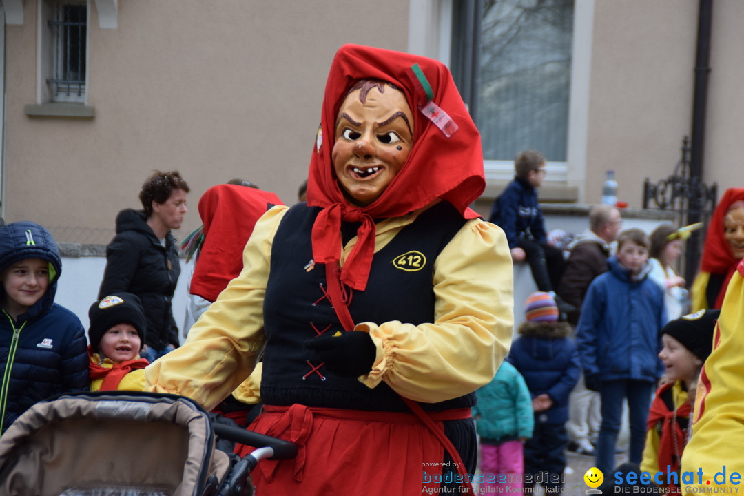 Fasnetsumzug - Fasching: Tettnang am Bodensee, 05.03.2019