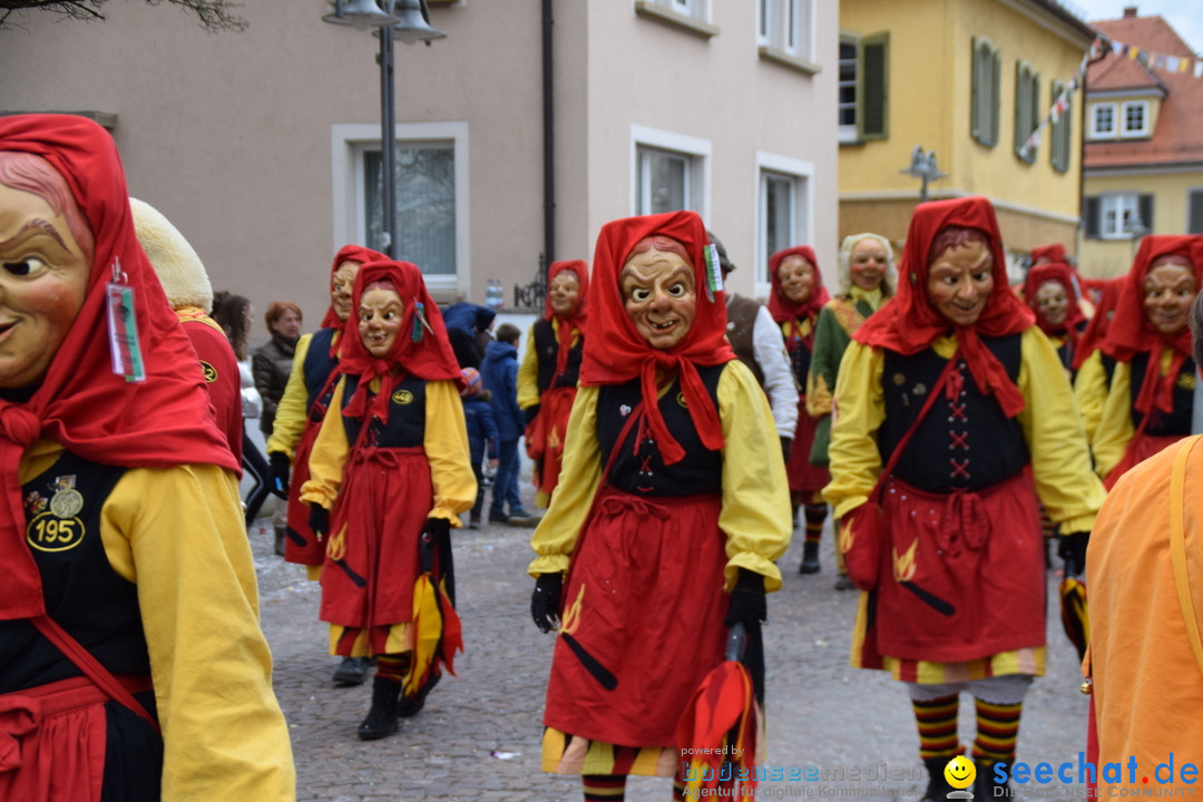 Fasnetsumzug - Fasching: Tettnang am Bodensee, 05.03.2019