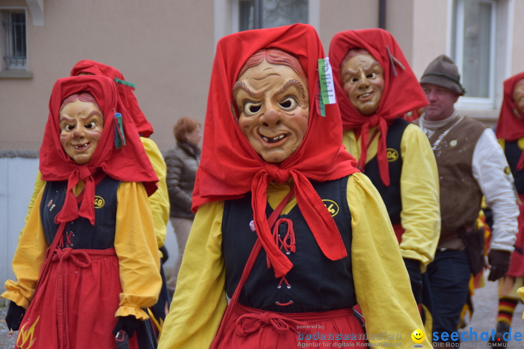 Fasnetsumzug - Fasching: Tettnang am Bodensee, 05.03.2019