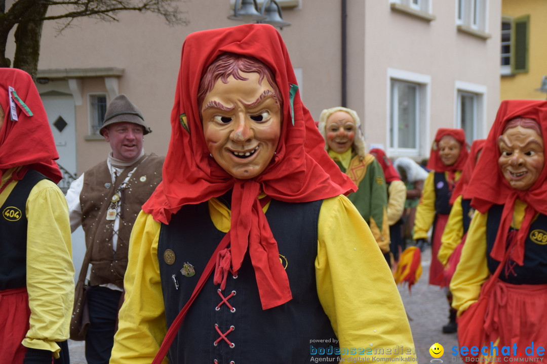 Fasnetsumzug - Fasching: Tettnang am Bodensee, 05.03.2019