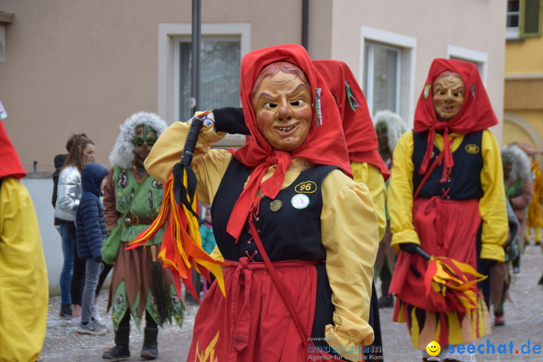 Fasnetsumzug - Fasching: Tettnang am Bodensee, 05.03.2019