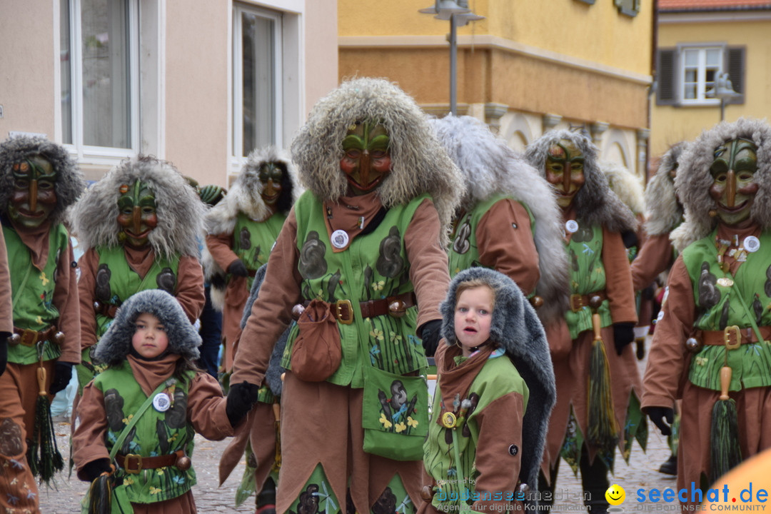 Fasnetsumzug - Fasching: Tettnang am Bodensee, 05.03.2019