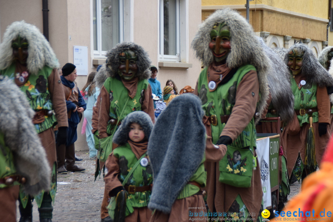 Fasnetsumzug - Fasching: Tettnang am Bodensee, 05.03.2019