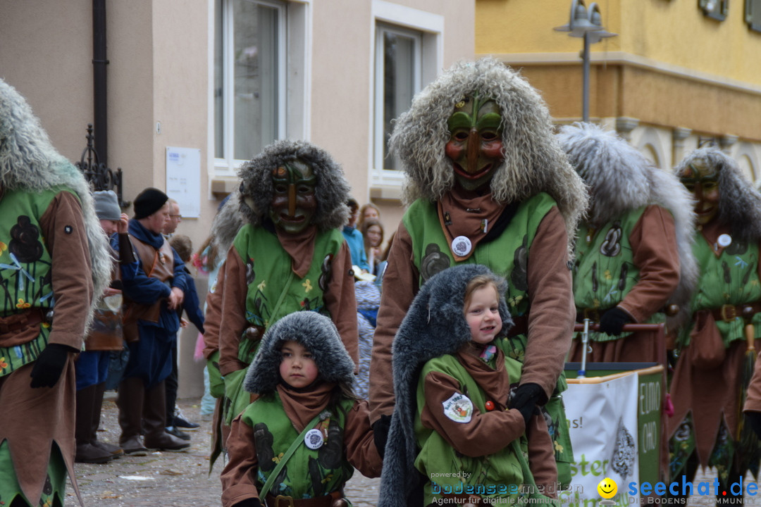 Fasnetsumzug - Fasching: Tettnang am Bodensee, 05.03.2019