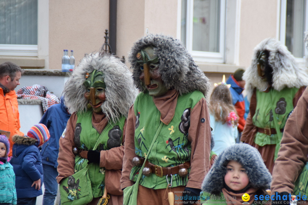 Fasnetsumzug - Fasching: Tettnang am Bodensee, 05.03.2019