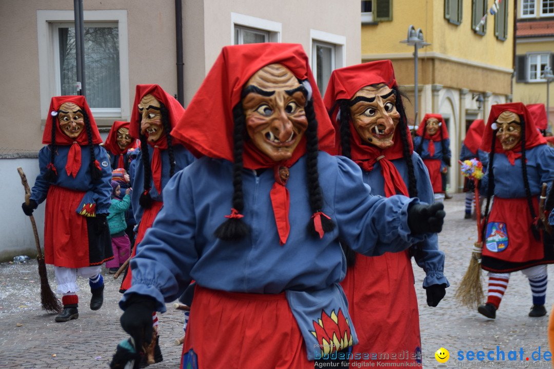 Fasnetsumzug - Fasching: Tettnang am Bodensee, 05.03.2019