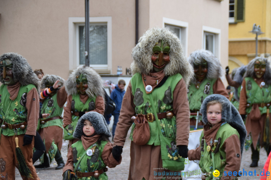 Fasnetsumzug - Fasching: Tettnang am Bodensee, 05.03.2019