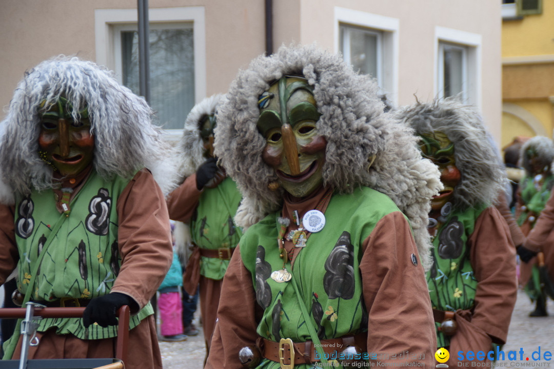 Fasnetsumzug - Fasching: Tettnang am Bodensee, 05.03.2019