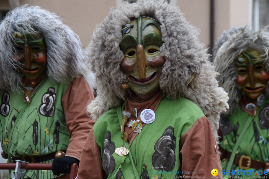 Fasnetsumzug - Fasching: Tettnang am Bodensee, 05.03.2019