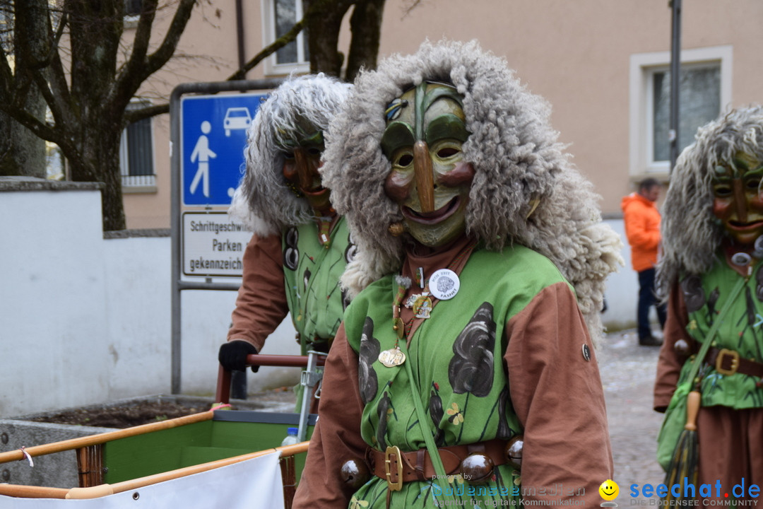 Fasnetsumzug - Fasching: Tettnang am Bodensee, 05.03.2019