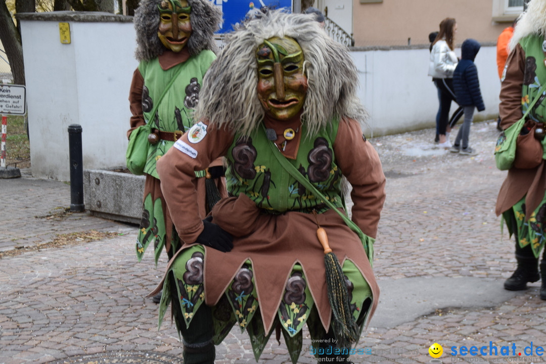 Fasnetsumzug - Fasching: Tettnang am Bodensee, 05.03.2019