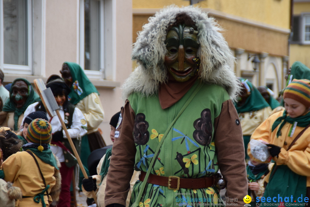 Fasnetsumzug - Fasching: Tettnang am Bodensee, 05.03.2019