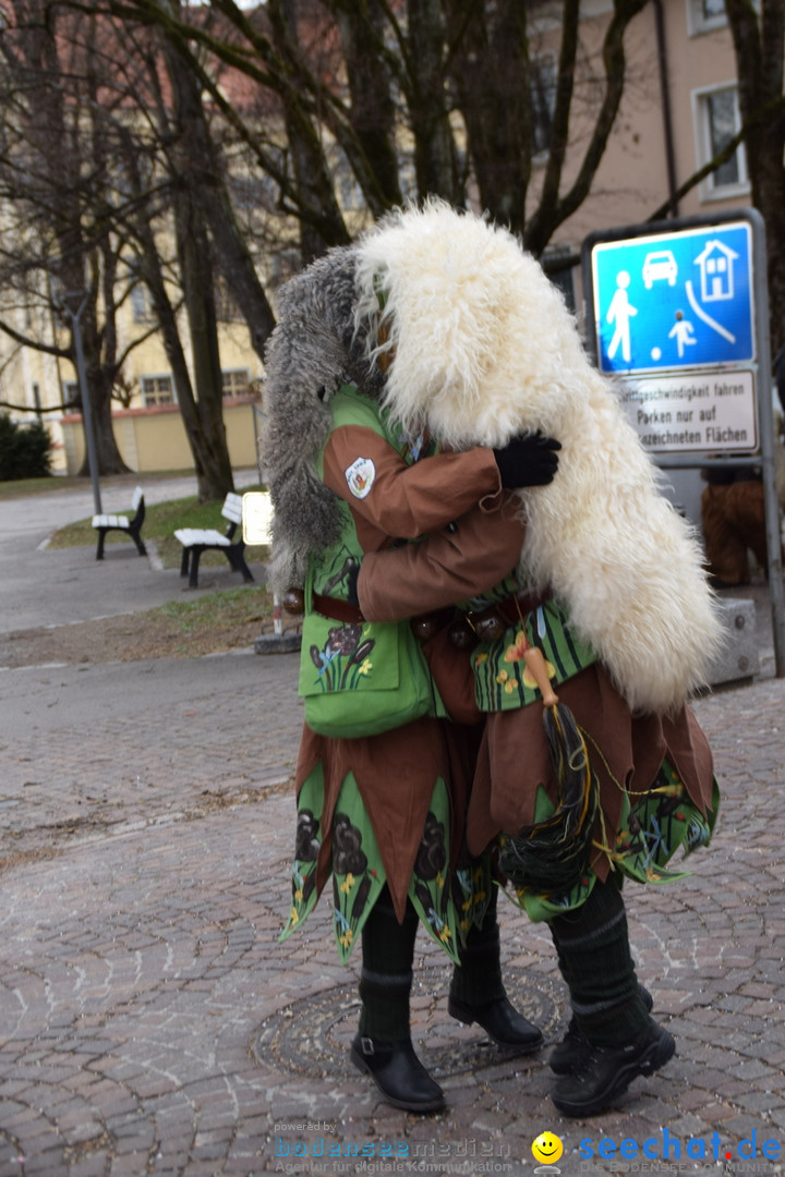 Fasnetsumzug - Fasching: Tettnang am Bodensee, 05.03.2019