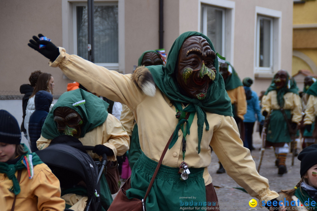 Fasnetsumzug - Fasching: Tettnang am Bodensee, 05.03.2019