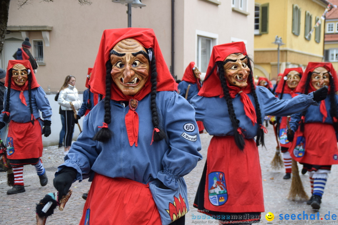 Fasnetsumzug - Fasching: Tettnang am Bodensee, 05.03.2019