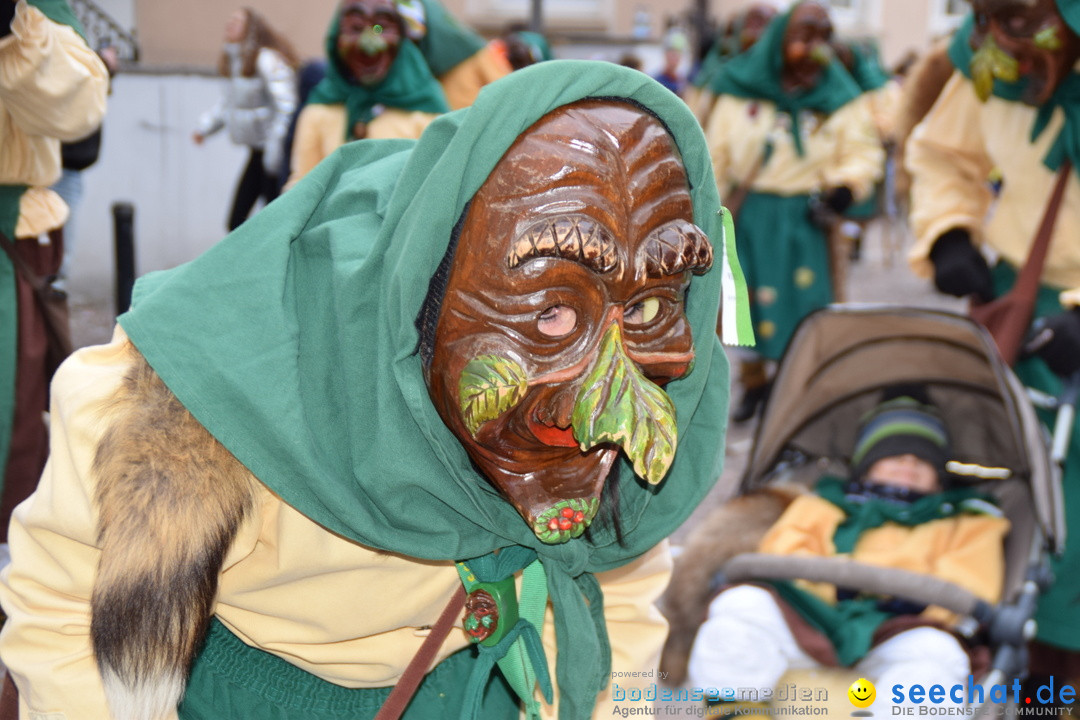 Fasnetsumzug - Fasching: Tettnang am Bodensee, 05.03.2019