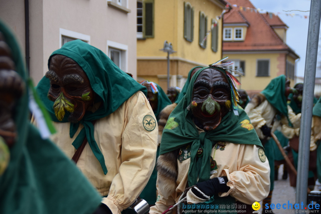 Fasnetsumzug - Fasching: Tettnang am Bodensee, 05.03.2019