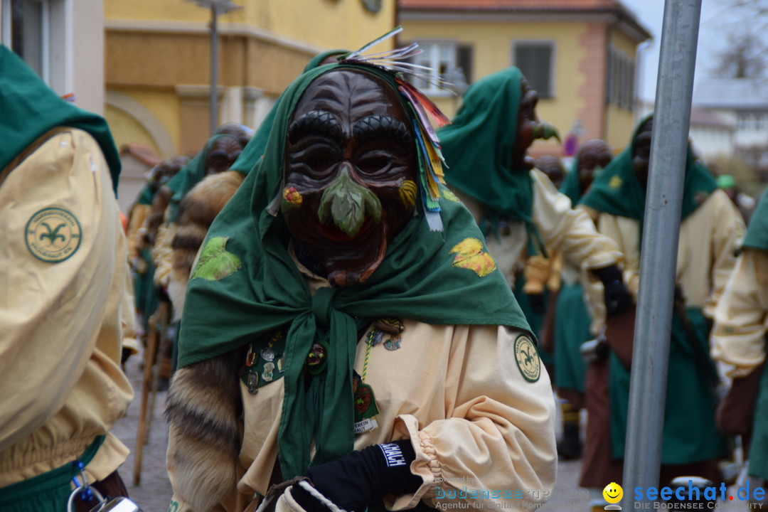 Fasnetsumzug - Fasching: Tettnang am Bodensee, 05.03.2019